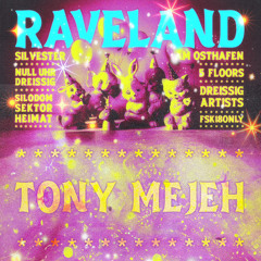 Sounds Of Silodom ✦ RAVELAND [ Live at NYE 23/24 ] ✦ Tony Mejeh