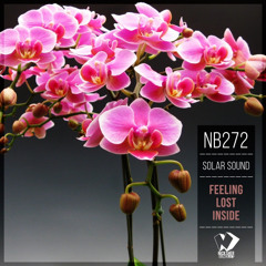Solar Sound - Feeling Lost Inside (Original Mix)