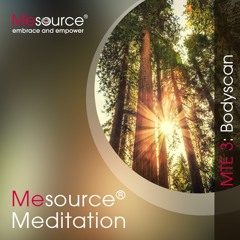 Mesource-Meditation: Bodyscan