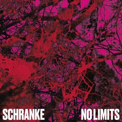 SINDEX PREMIERE: SCHRANKE & The BlackMailer - Crystal Tears [SCHRANKE001]