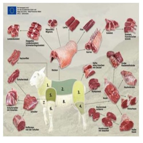 Fragments of No Account