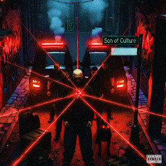 Son of Culture (prod by poison)
