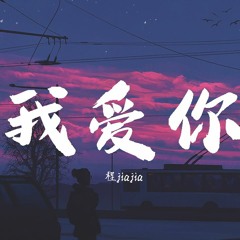 程jiajia - 我爱你【動態歌詞/Lyrics Video】