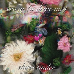 crazy (u drive me)