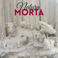 Natura morta