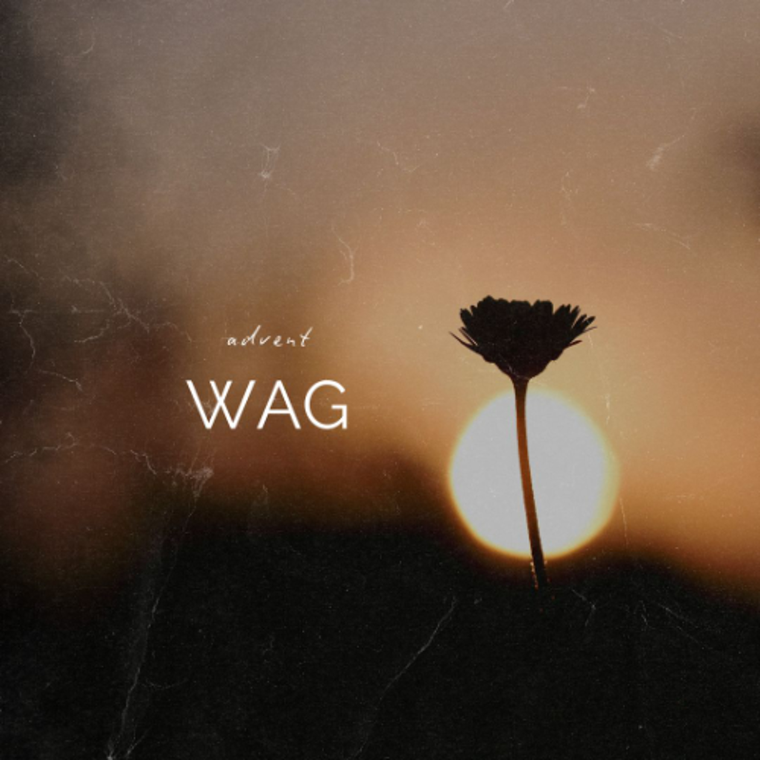 Advent: Wag deur Deon Meiring