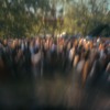 Moody Mehran - Wildeburg 2024 DJ mix artwork - Electronic music tracklist cover image