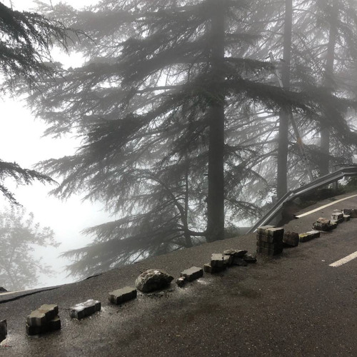 Stream Кусты Черники По Периметру Замка & ONREDLENSES by minorsavant ...