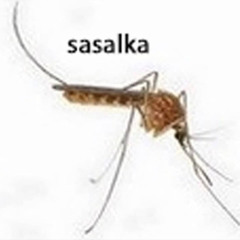 Трость(prod.gnilayakozha)