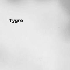 Tygre 2025 Mixes