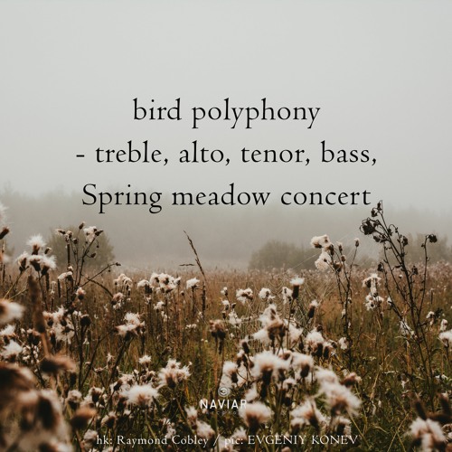 haiku #495: bird polyphony – / treble, alto, tenor, bass, / Spring meadow concert