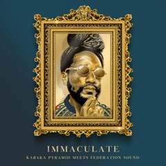 "Immaculate" Mixtape - Kabaka Pyramid x Federation Sound