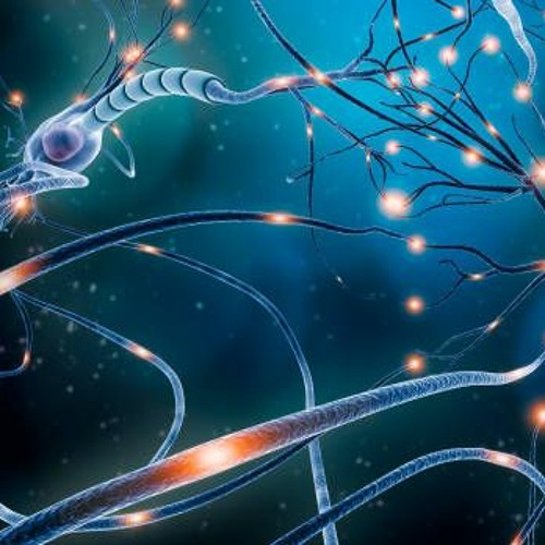 Dancing Neurons