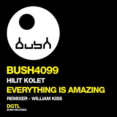 Hilit Kolet - Everything Is Amazing (William Kiss Remix) - Bush Records