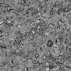 .?.!.!.?.ft.VA$H(Prod.skymad & Rtrspcth)