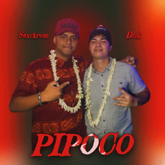 PIPOCO - (Dnk x Saxkrom) 2024