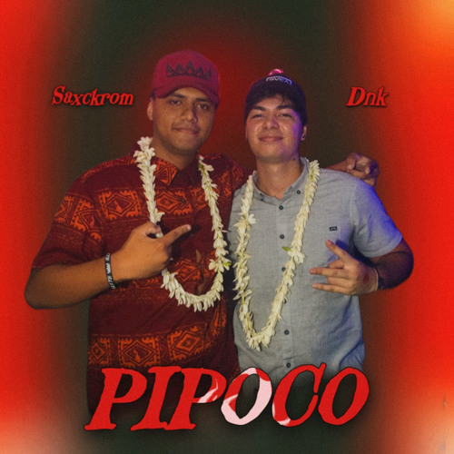 PIPOCO - (Dnk x Saxkrom) 2024