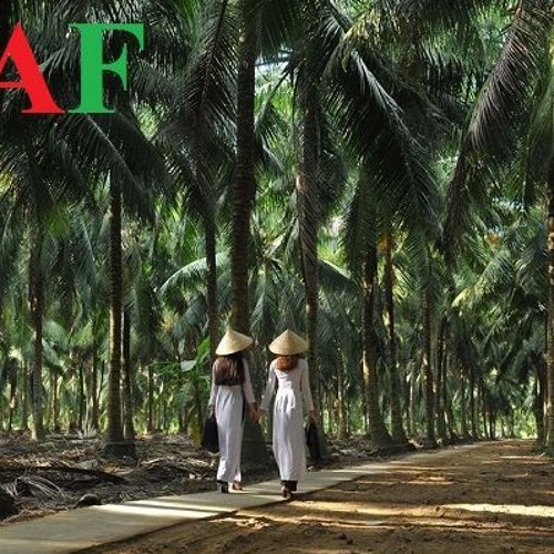 Công Ty Dịch Vụ Kiểm Toán Độc Lập Và Tư Vấn Doanh Nghiệp Tỉnh Bến Tre