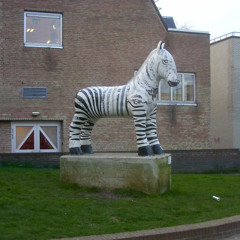 terror junks in Alkmaar