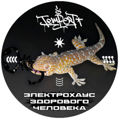 Tempest - Электрохаус Здорового Человека