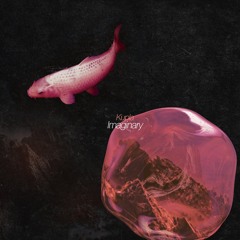 Kupla - Chasing Dreams