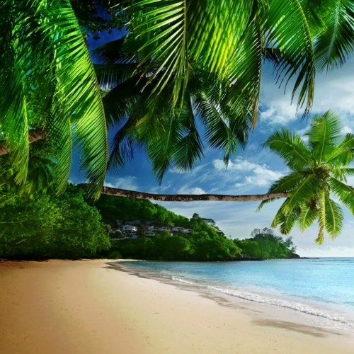 Scenic Odyssey For Video 🎲FREE DOWNLOAD
