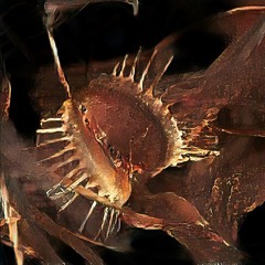 Chris Mccormack - What kind of sound pt. 1