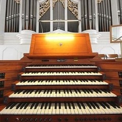 Shiny Happy People (Organ Demo)