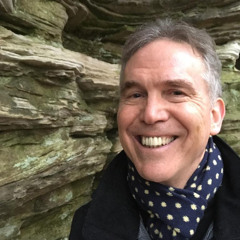 "Vox Humana with Fire" by Donald Platt