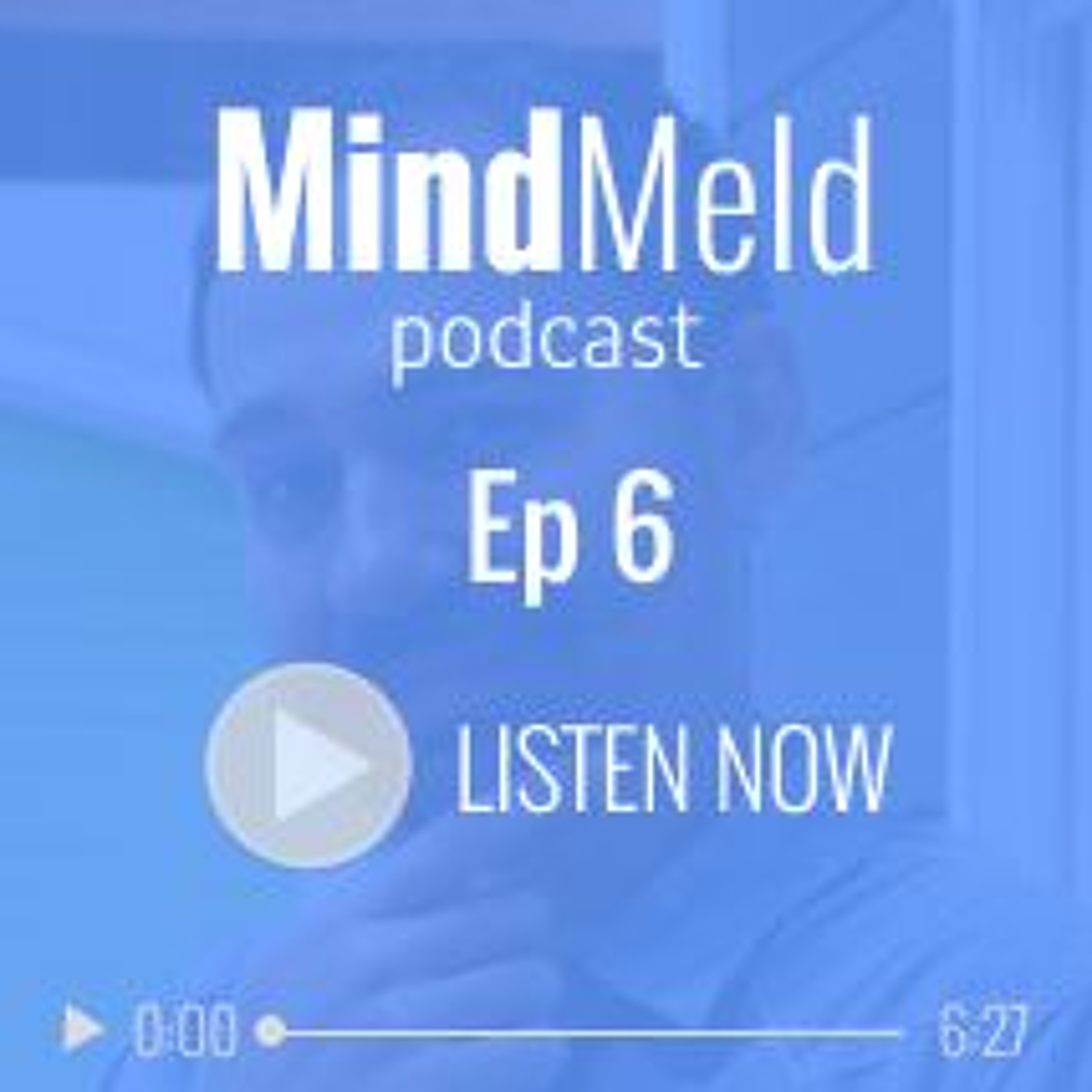MindMeld by DeveloperTown