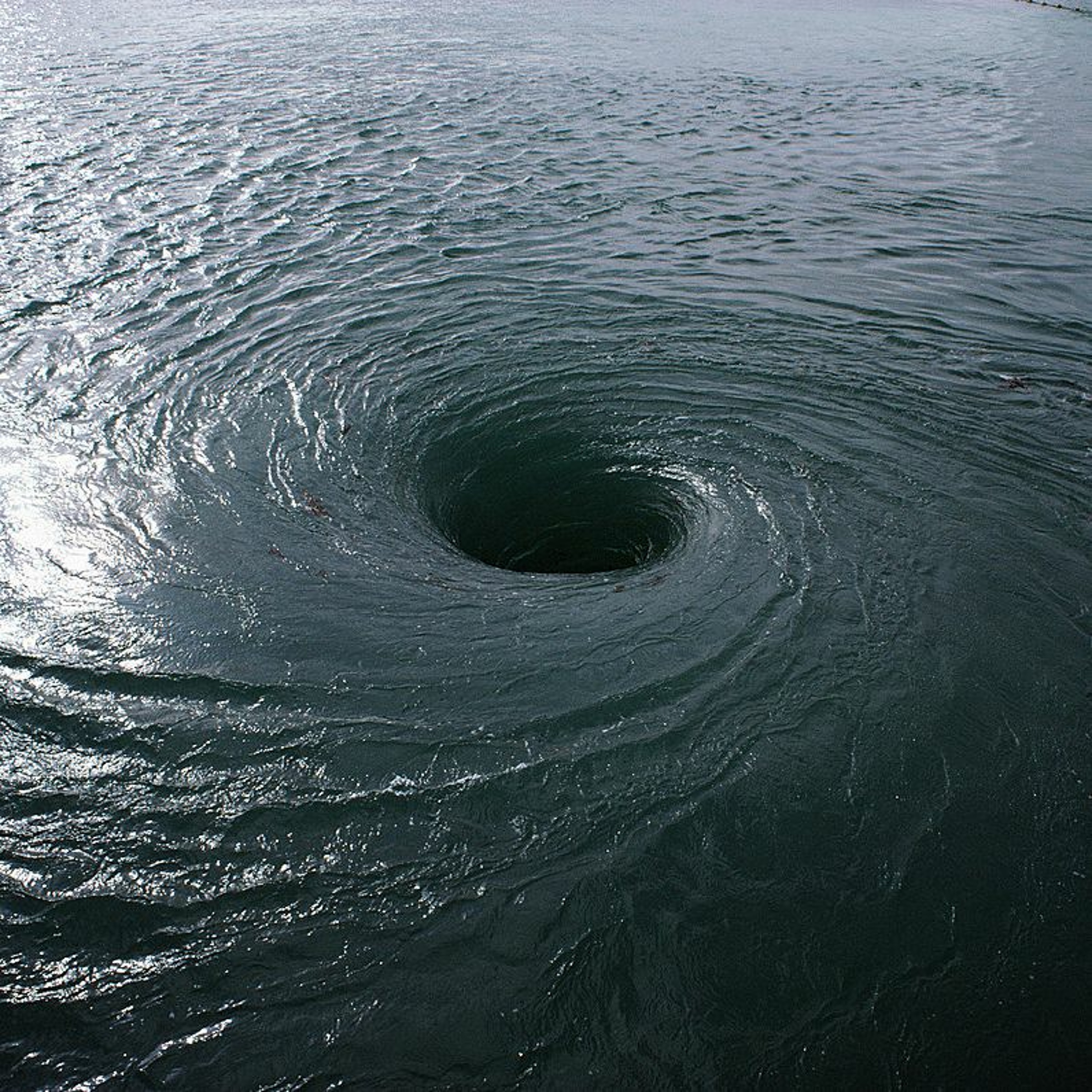 Circling The Drain episode artwork