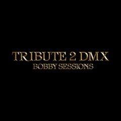 Tribute 2 DMX (Freestyle)