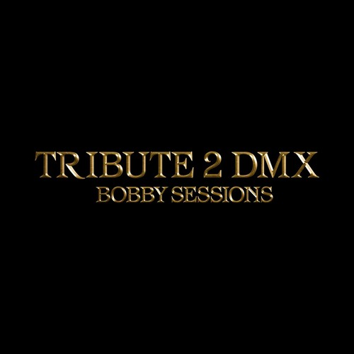 Tribute 2 DMX (Freestyle)
