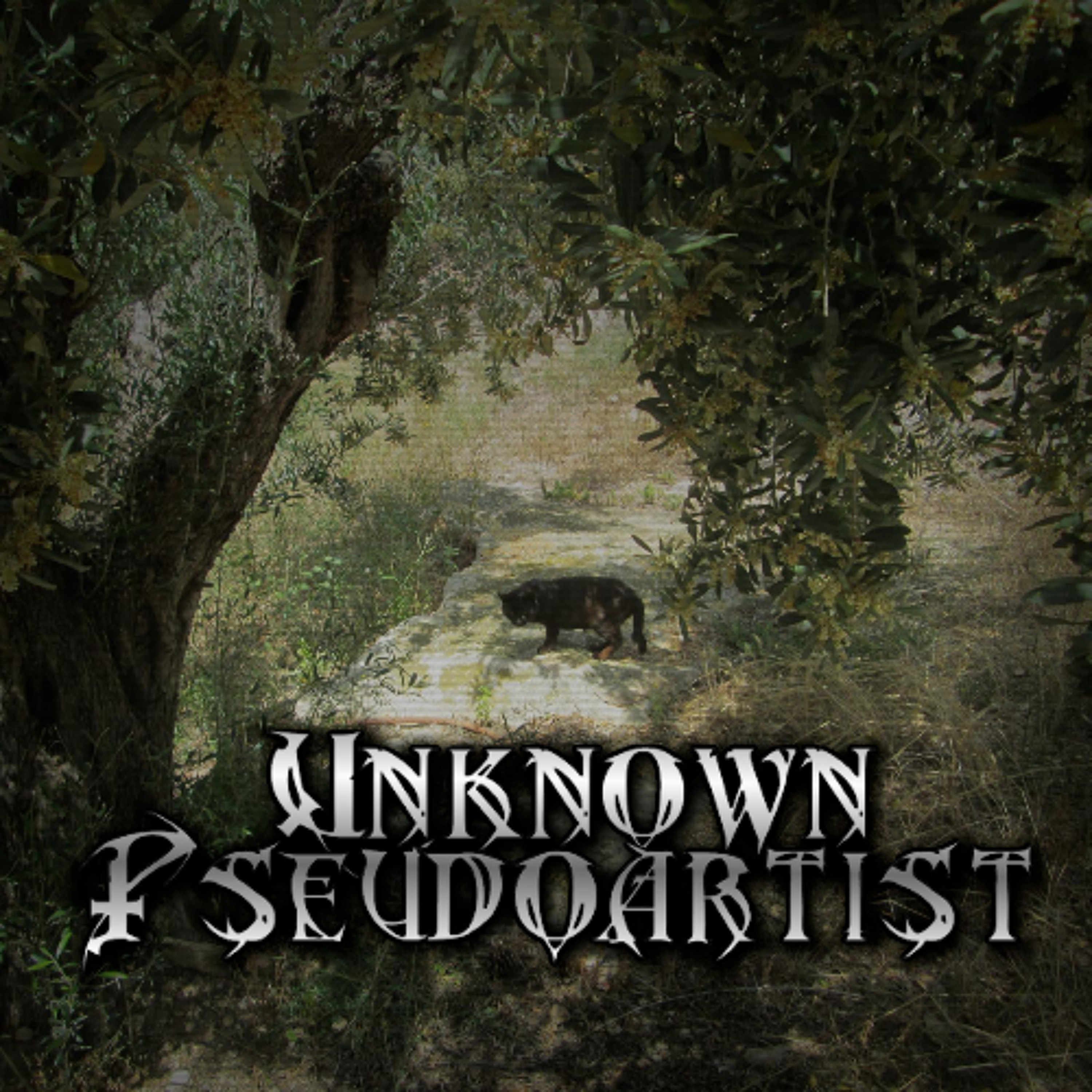 Unknown Pseudoartist