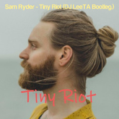 Sam Ryder - Tiny Riot (DJ LeeTA Bootleg.)