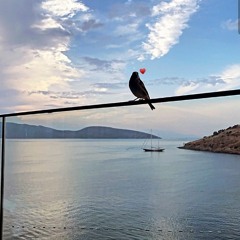 Ghar Meday Tun Aaveen  Sheikh Ali Ahmed Chinyoti  Sadia Sisters  Thar Production.mp3