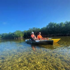Review Special Price Mangrove Tunnel Kayak Adventure In Key Largo