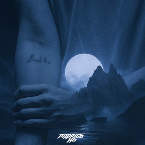 Back To U x Light In The Dark (Rodrigo HO Mashup) - Slander, William Black x Seven Lions, Wooli