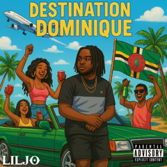 DJ LILJO- DESTINATION DOMINIQUE VOL2 (mix bouyon 2k25)