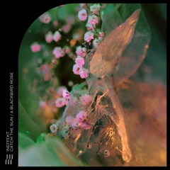 Ineffekt - Catch The Sun