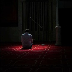 ﴿أَفَمَن يَمشي مُكِبًّا عَلى وَجهِهِ﴾ سورة الملك / الشيخ أحمد إسماعيل أبو بكر / الجامع الكبير
