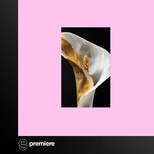 Premiere: Nordfold - Machine - Flores