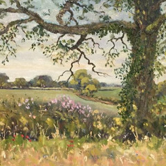 Along The Hedgerow