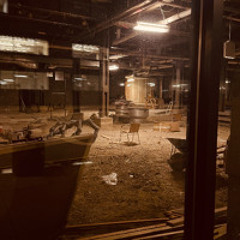 do u think(feat. Les Beaux Platiques)