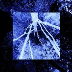 Oakledge Legacy Prelude: 17.10.23