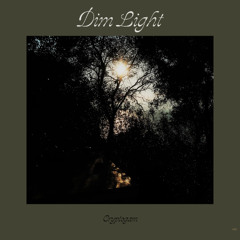 Dim Light.sample