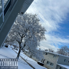 Newmoney