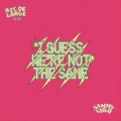 Sammy Virji - I Guess We're Not The Same (Ric de Large DnB Remix)