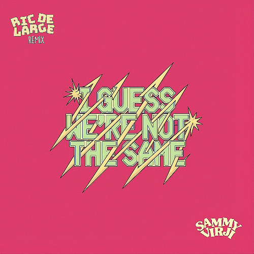 Sammy Virji - I Guess We're Not The Same (Ric de Large DnB Remix)