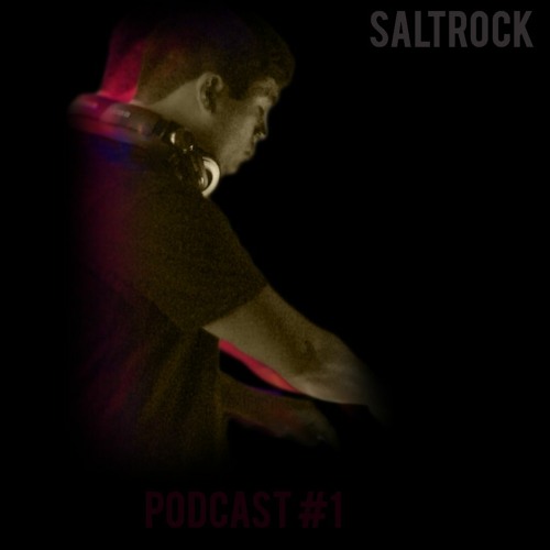 Saltrock Podcast #1